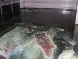 "Bir Mahalle eğer camisiz ise, bu felaket demektir"