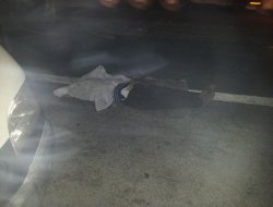 Tarsus'ta trafik kazası: 1 ölü