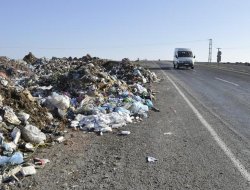 Siverekliler çöp manzarasından rahatsız