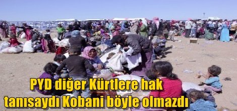 PYD diğer Kürtlere hak tanısaydı Kobani böyle olmazdı