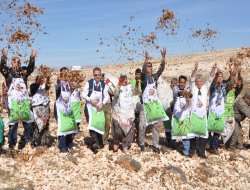 10 milyar sedir toprakla buluşacak