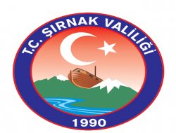 Şırnak'ta 8 PKK'lı daha teslim oldu