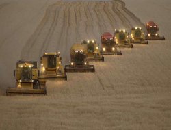 Tarım ÜFE Ekim ayında arttı