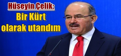 Hüseyin Çelik: Bir Kürt olarak utandım