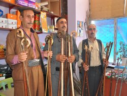 Şırnak'ın bastonuna ilgi artıyor
