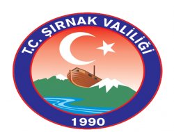 Şırnak'ta 2 PKK'li daha teslim oldu