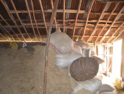 Bingöl Suvaran köyünde uyuşturucu baskını