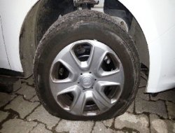 Mütedeyyinlere yönelik saldırılar sürüyor