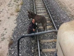 Eşeği raylara bağladılar