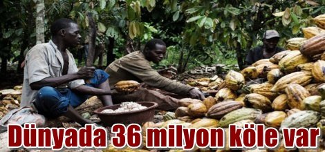Dünyada 36 milyon köle var