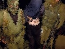 Diyarbakır'da şüpheli kaçırma