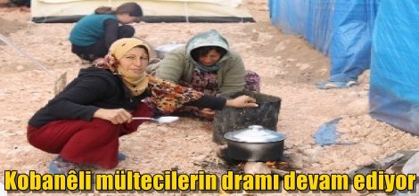 Kobanili mültecilerin dramı devam ediyor
