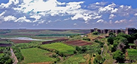 Diyarbakırlı STK'lardan 'Hevsel Bahçeleri çağrısı'
