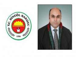 "Türkiye'de günde 3 kadın cinayete kurban gidiyor"