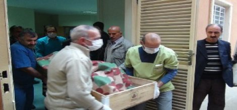 Kızıltepe'de 2 Suriyeli kardeş infaz edildi