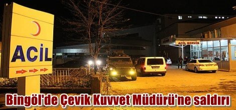 Bingöl'de Çevik Kuvvet Müdürü'ne saldırı