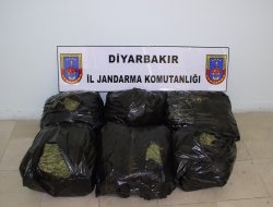 Diyarbakır’da uyuşturucu baskınları devam ediyor