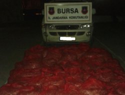 Bursa’da kaçak avlanmış bir ton midye ele geçirildi