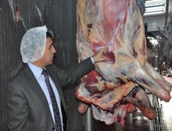 Kaçak hayvan kesimine 5 bin 500 lira para cezası