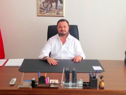 Bir Bonzai vakasına daha hayır !