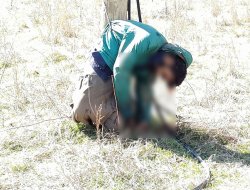 Köy korucusunun katil zanlısı tutuklandı