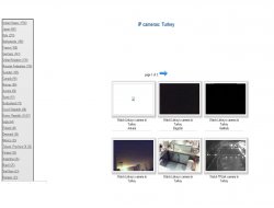Dünyayı gözetleyen site kendini sınırladı