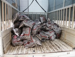 Diyarbakır’da kömür dağıtımına başlandı