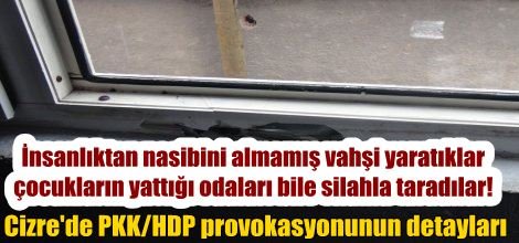 Cizre'de PKK/HDP provokasyonunun detayları