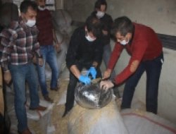 Saman yüklü TIR’da uyuşturucu ele geçirildi