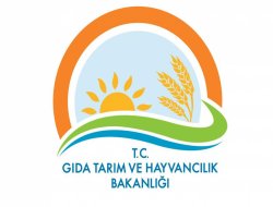 “Dağlarda domuz sayısının arttığı iddiası asılsızdır”