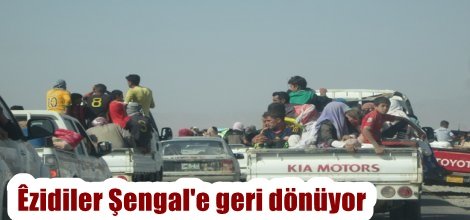 Yezidiler Şengal'e geri dönüyor