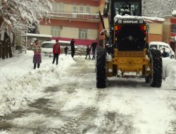 Bitlis kara gömüldü 216 köy yolu ulaşıma kapandı