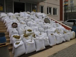 Lice’de ele geçirilen esrar basına gösterildi