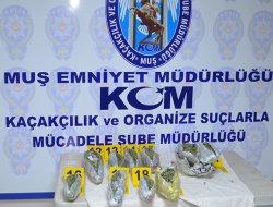 Muş'ta 2 kilo esrar ele geçirildi