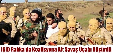 IŞİD Rakka'da Savaş Uçağı Düşürdü