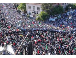 Bu Harekette Bereket Var