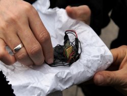 İslami STK’da yine böcek bulundu