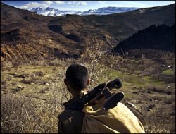 PKK yol kesip 10 kişiyi kaçırdı