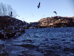 İtalya'da kış ortasında bahar havası