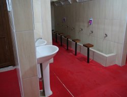 Sıra dışı abdesthane