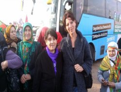 Hollandalı gazeteci serbest bırakıldı