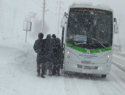 Bitlis kar yağışına teslim oldu