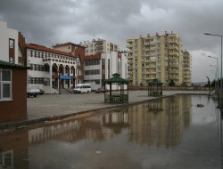 Ergani’de bit paniği