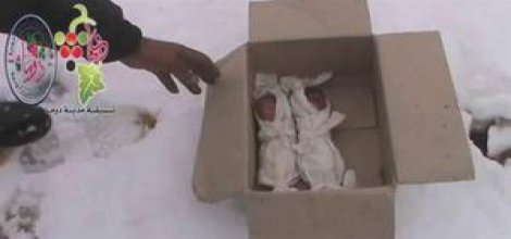 Minik Bedenleri Soğuğa Dayanamadı