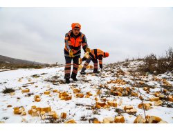Toplanan bayat ekmek hayvanlara yem oluyor