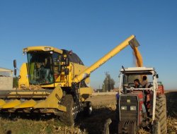 Tarım ÜFE Aralık ayında azaldı