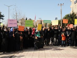 Mardinliler Peygambere hakareti kınadı