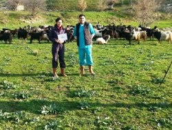 Hayvanlarda antibiyotikler gizli tehdit içeriyor