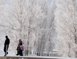 Ağrı’da termometreler sıfırın altında 20'yi gösterdi