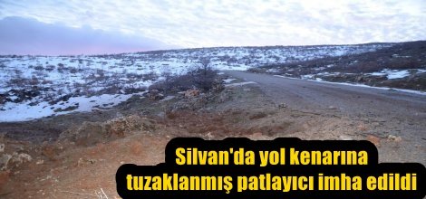 Silvan'da yol kenarına tuzaklanmış patlayıcı imha edildi